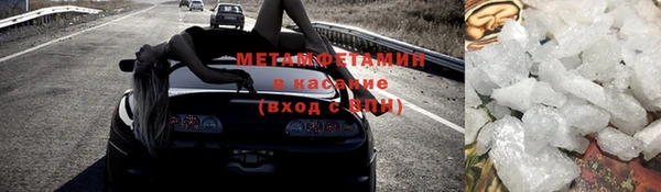 индика Богданович