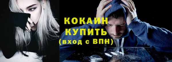 индика Богданович