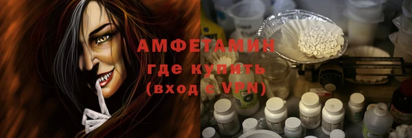 индика Богданович