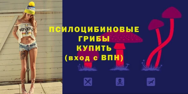 индика Богданович