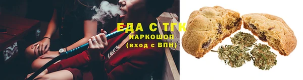 индика Богданович
