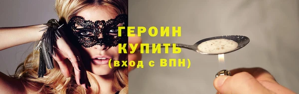 индика Богданович