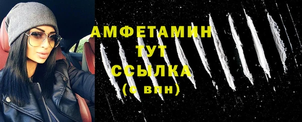индика Богданович