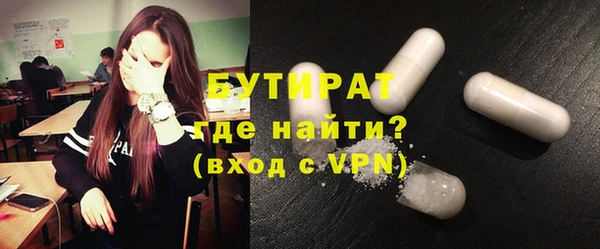 индика Богданович