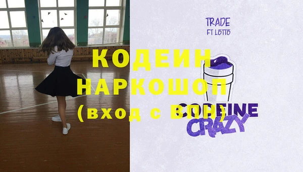 индика Богданович