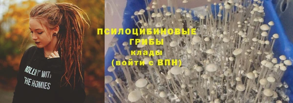 mdpv Богородицк