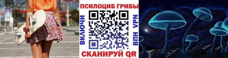 Купить  Минеральные Воды  Псилоцибиновые грибы MAGIC MUSHROOMS 